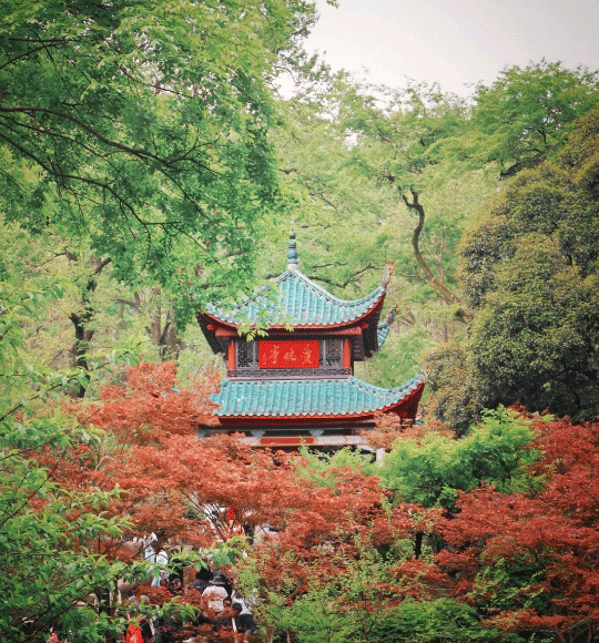 張家界跟團(tuán)游,張家界旅游攻略5天自由行,張家界自駕游,張家界旅游路線攻略,張家界中國國際旅行社